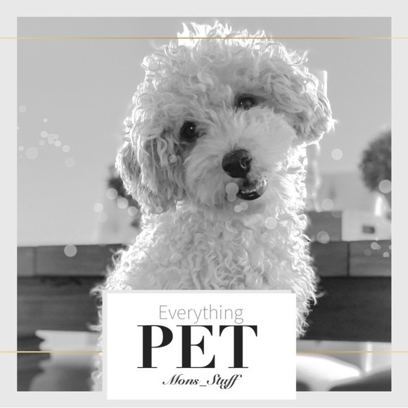 Pet clothings etc - Picture 1 of 1